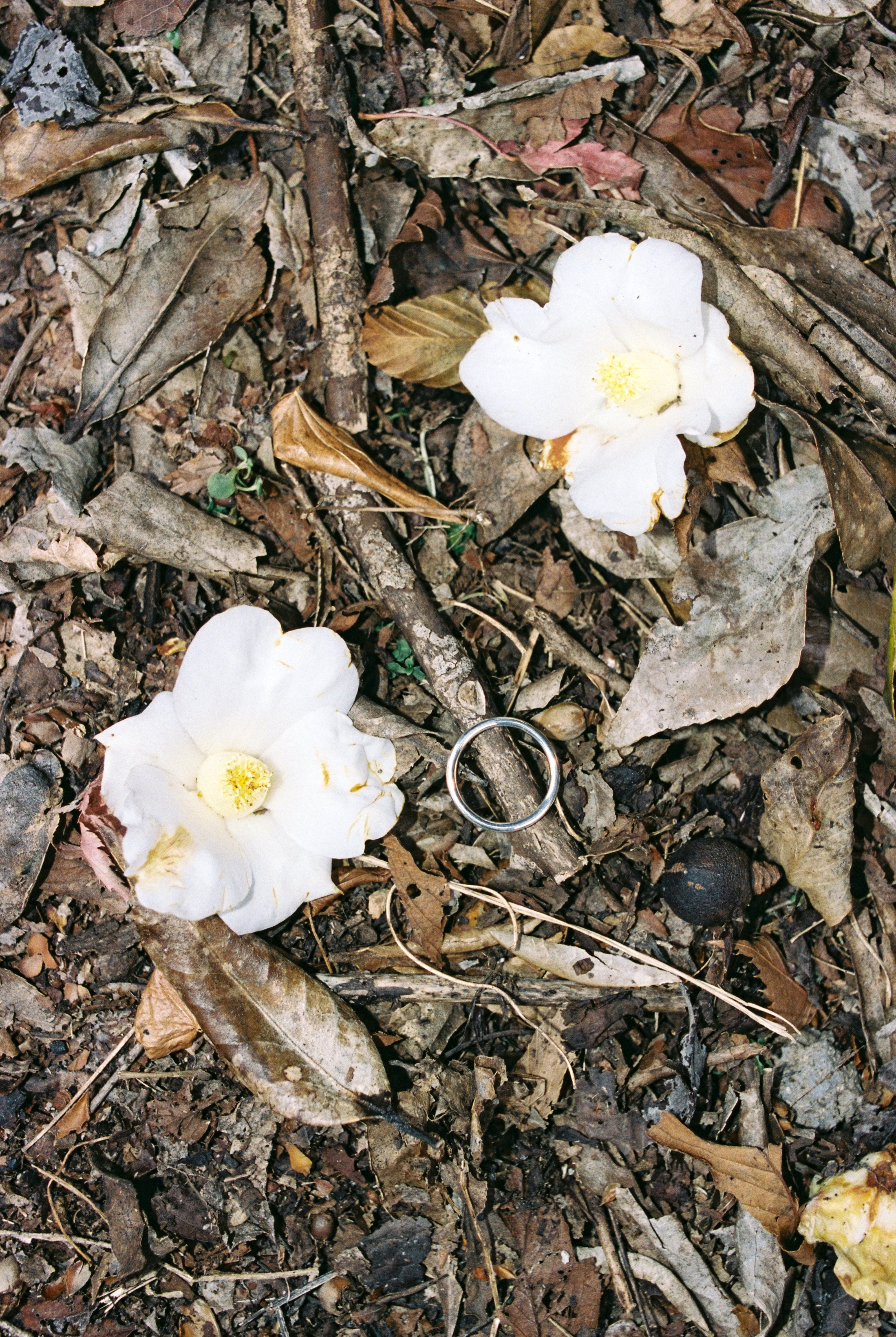 Basic Ring
