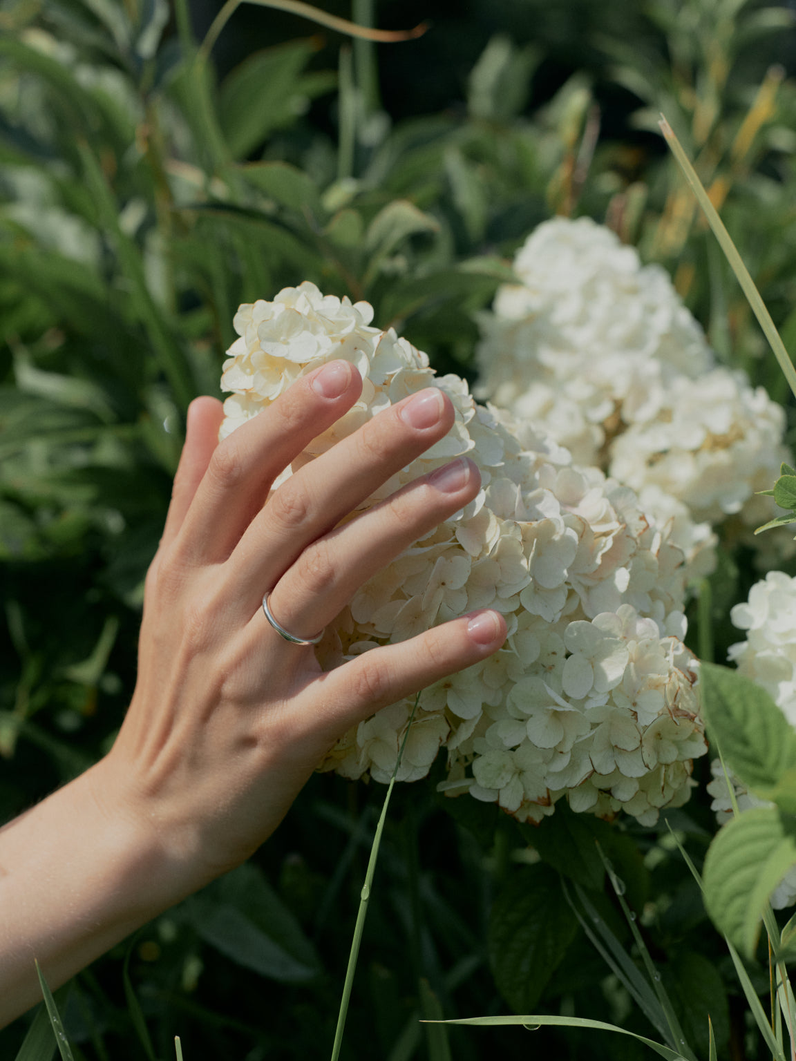 Basic Ring